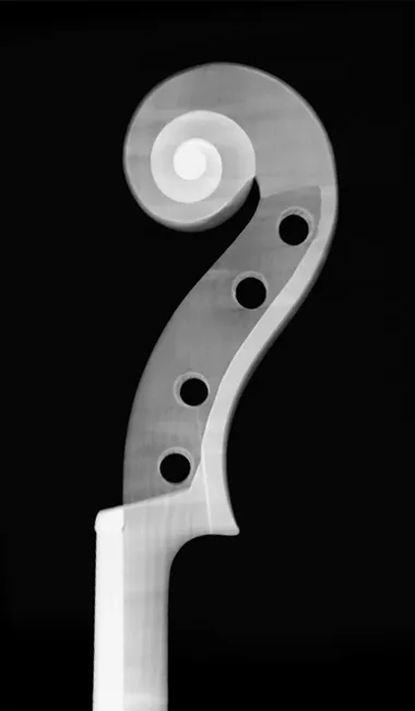 tavola RX